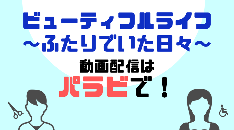 ビューティフルライフ〜ふたりでいた日々〜の動画配信をしているVODサービス